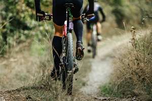Paseos en bicicleta